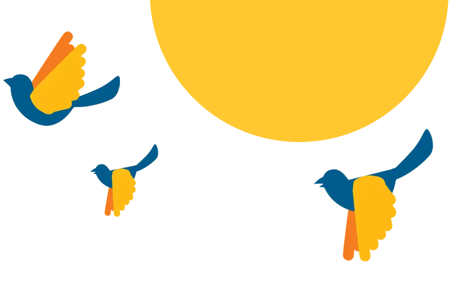 Birds with Sun Birds with Sun for aesthetic purposes.