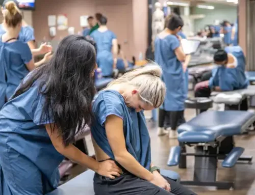 SCU Brings Nation-Leading Chiropractic Program to Phoenix—A First for the Region
