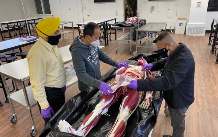 A photo of three SCU professors examining the Syndaver in the Anatomy Lab.