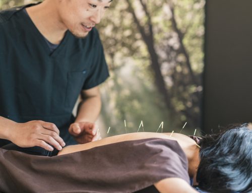 How Much Does It Cost to Become an Acupuncturist?